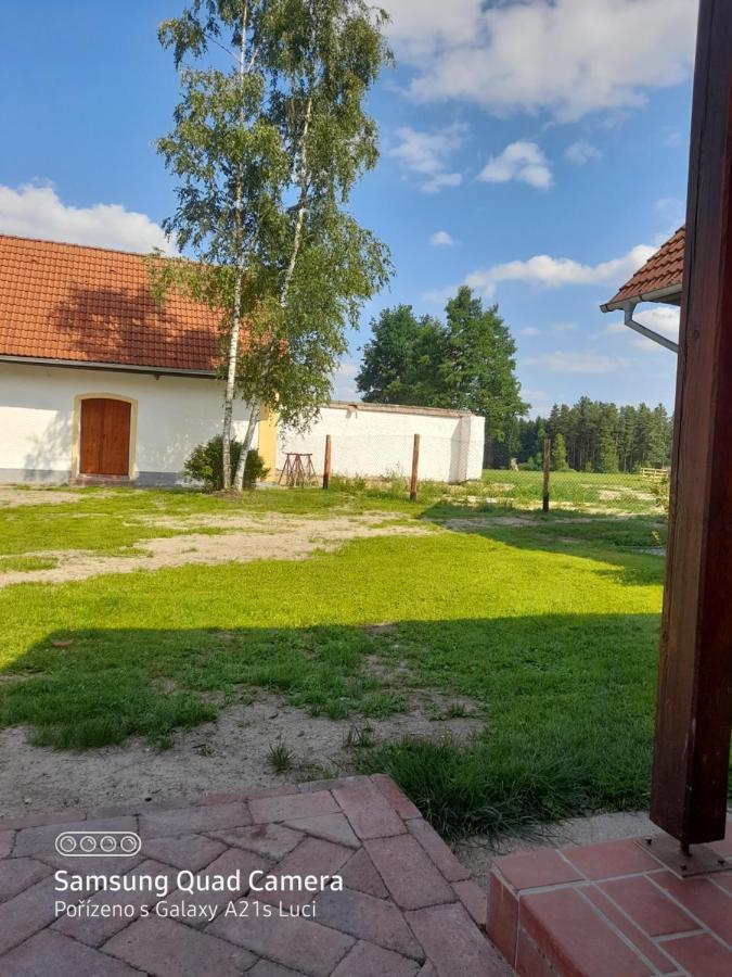 Kojan Appartement Jílovice Buitenkant foto
