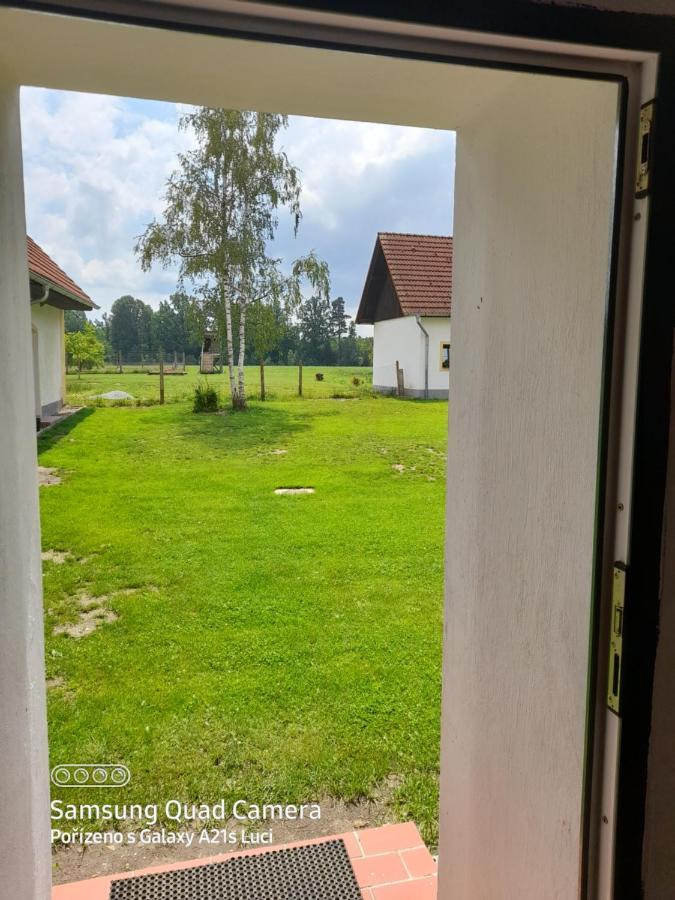 Kojan Appartement Jílovice Buitenkant foto
