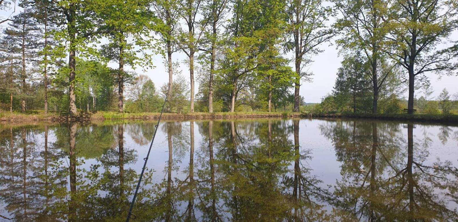 Kojan Appartement Jílovice Buitenkant foto